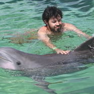 323 How-To-Draw Prompts